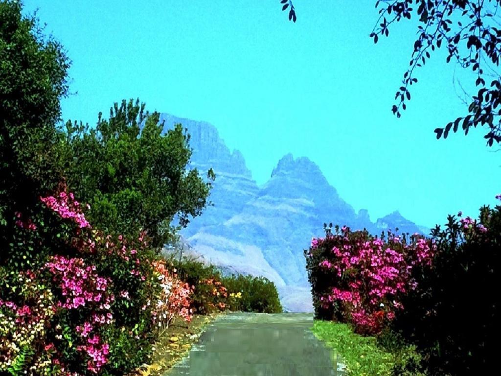 הוילה Champagne Valley Emafweni חדר תמונה